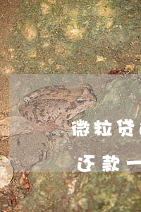 微粒贷还款一笔5万还是一天5万-微粒贷还款一笔5万还是一天5万好