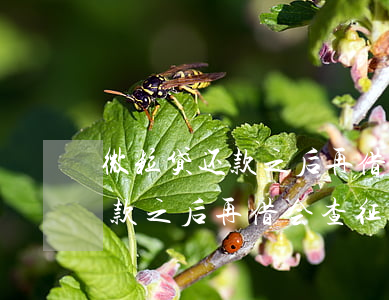 微粒贷还款之后再借会查征信吗-微粒贷还款之后再借会查征信吗有影响吗
