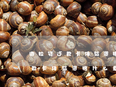 微粒贷还款卡体验资格什么意思-微粒贷还款卡体验资格什么意思啊
