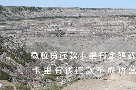 微粒贷还款卡里有余额就是还不上-微粒贷卡里有钱还款不成功怎么办