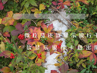 微粒贷还款显示银行卡超出限额-微粒贷还款显示银行卡超出限额怎么回事