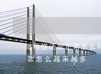 微粒贷还款正常怎么利息上涨了-微粒贷还款怎么越来越多