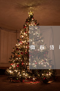 微粒贷还款蚂蚁花呗：安全吗？