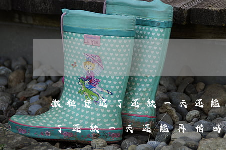 微粒贷迟了还款一天还能再借吗-微粒贷迟了还款一天还能再借吗