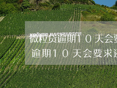 微粒贷逾期10天会要求还全款吗-微粒贷逾期10天会要求还全款吗怎么办