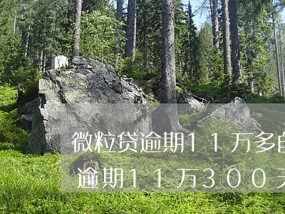 微粒贷逾期11万多自己能协商吗-微粒贷逾期11万300天