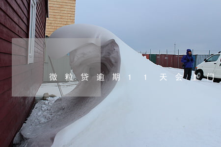 微粒贷逾期11天会上门吗