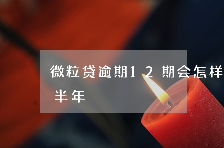 微粒贷逾期12期会怎样(微粒贷16万逾期半年)