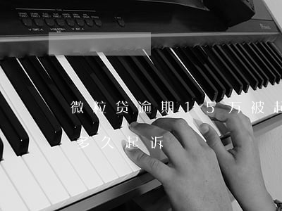 微粒贷逾期15万被起诉(微粒贷一万多逾期多久起诉)