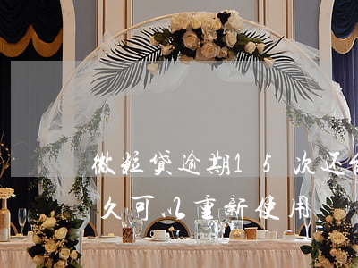 微粒贷逾期15次还能用吗(微粒贷逾期过多久可以重新使用)