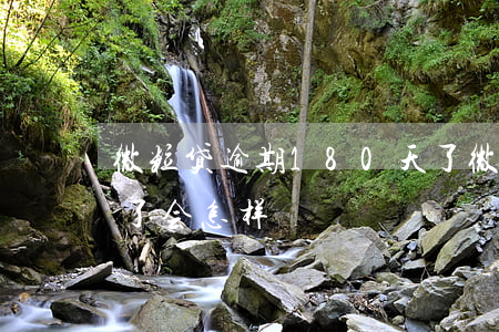 微粒贷逾期180天了(微粒贷逾期180天了会怎样)