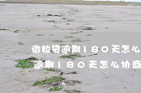 微粒贷逾期180天怎么协商还本金(微粒贷逾期180天怎么协商还本金呢)