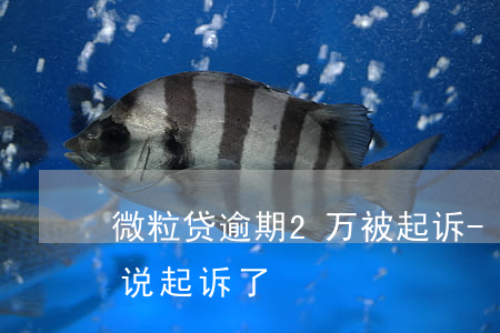 微粒贷逾期2万被起诉-微粒贷逾期二十天说起诉了
