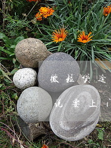 微粒贷逾期2个月上门约谈(微粒贷逾期警告说要上门约谈,会去单位吗)