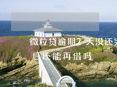 微粒贷逾期2天没还完(微粒贷逾期两天还款后还能再借吗)