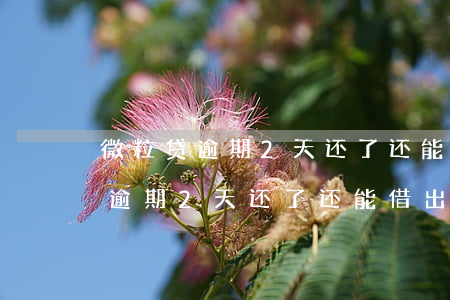 微粒贷逾期2天还了还能借出来吗-微粒贷逾期2天还了还能借出来吗