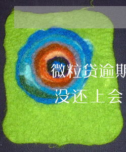微粒贷逾期3万会坐牢吗(微粒贷逾期3个月没还上会有什么后果)