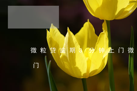 微粒贷逾期3分钟上门(微粒贷逾期3分钟上门)