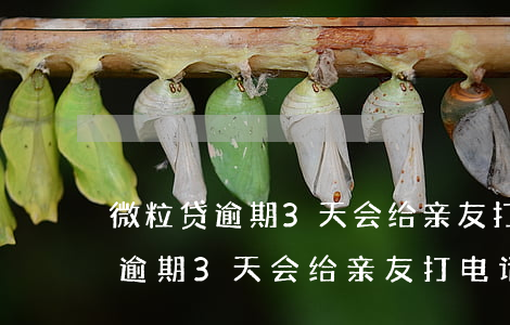 微粒贷逾期3天会给亲友打电话吗-微粒贷逾期3天会给亲友打电话吗是真的吗