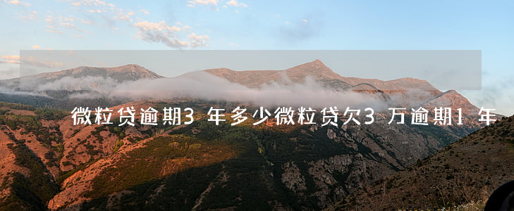 微粒贷逾期3年多少(微粒贷欠3万逾期1年)