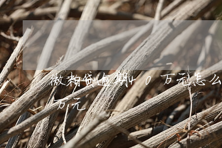 微粒贷逾期40万元怎么办（微粒贷逾期40万元）