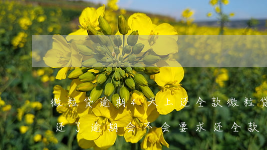 微粒贷逾期4天上还全款(微粒贷逾期16天还了逾期会不会要求还全款)