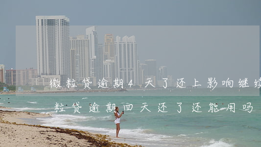 微粒贷逾期4天了还上影响继续借钱吗-微粒贷逾期四天还了还能用吗