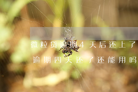 微粒贷逾期4天后还上了还能用吗-微粒贷逾期四天还了还能用吗