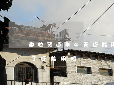 微粒贷逾期4天还能用吗(微粒贷逾期四天还了还能用吗)