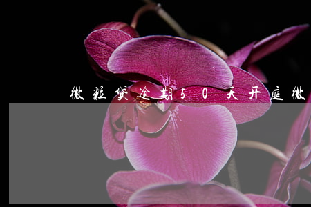 微粒贷逾期50天开庭 微粒贷逾期501天
