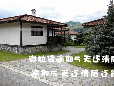 微粒贷逾期5天还清后还能再借吗-微粒贷逾期5天还清后还能再借吗安全吗