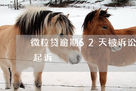 微粒贷逾期62天被诉讼(微粒贷欠款多少被起诉)