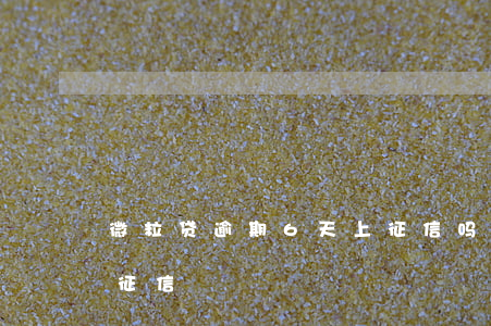 微粒贷逾期6天上征信吗(微粒贷逾期两天上征信)