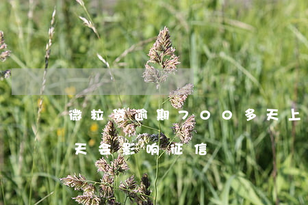 微粒贷逾期700多天上征信(微粒贷逾期几天会影响征信)