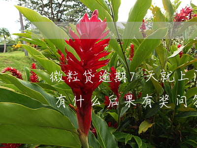 微粒贷逾期7天就上门吗(微粒贷逾期7天会有什么后果?,有奖问答)