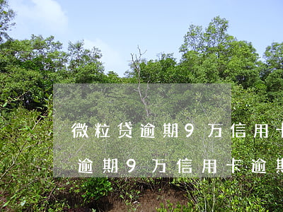 微粒贷逾期9万信用卡逾期12万-微粒贷逾期9万信用卡逾期12万利息高吗