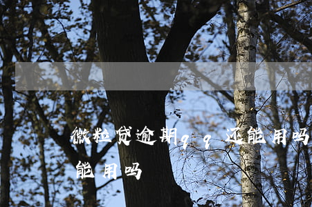 微粒贷逾期qq还能用吗(微粒贷逾期qq还能用吗)