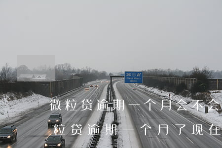 微粒贷逾期一个月会不会取消分期资格-微粒贷逾期一个月了,现在要求全部还,怎么办?