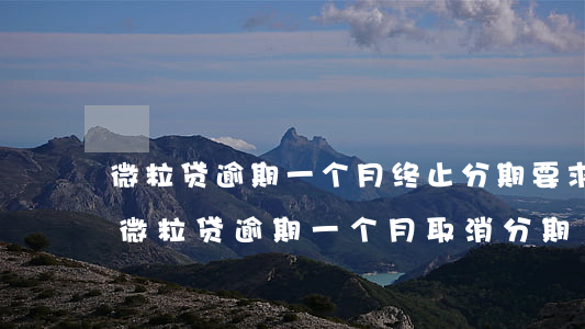 微粒贷逾期一个月终止分期要求一次付清-微粒贷逾期一个月取消分期