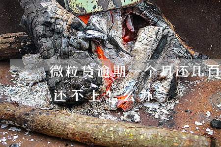 微粒贷逾期一个月还几百(微粒贷逾期一万多还不上怎么办?)