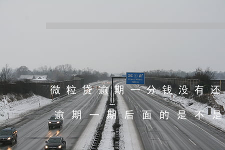 微粒贷逾期一分钱没有还会怎么样-微粒贷逾期一期后面的是不是要全额还