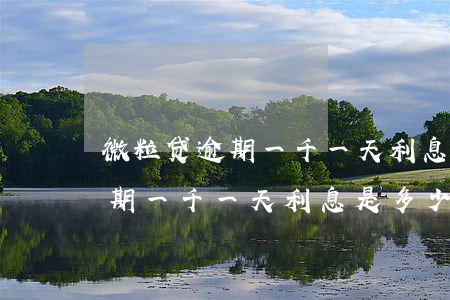 微粒贷逾期一千一天利息是多少-微粒贷逾期一千一天利息是多少钱