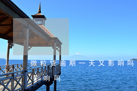微粒贷逾期一天又影响吗(微粒贷逾期一天又影响吗)