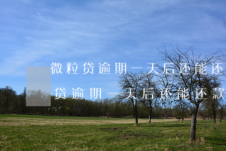 微粒贷逾期一天后还能还款吗?怎么还-微粒贷逾期一天后还能还款吗?怎么还款