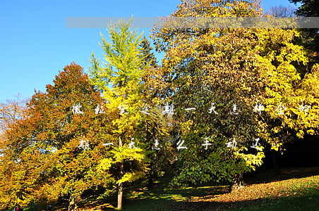 微粒贷逾期一天怎样全部结清天-微粒贷逾期一天怎么手动还