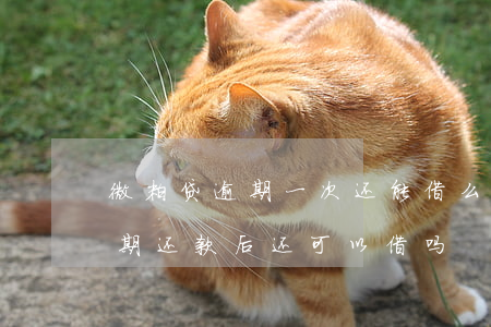 微粒贷逾期一次还能借么(微粒贷逾期一个星期还款后还可以借吗)