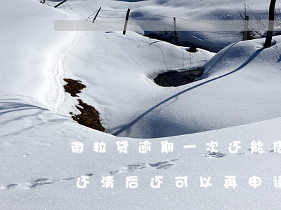 微粒贷逾期一次还能借吗(微粒贷有一次逾期还清后还可以再申请吗)
