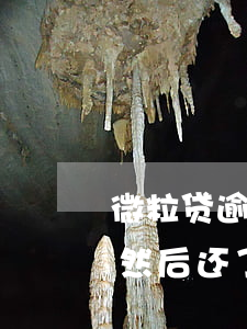 微粒贷逾期三个月还2万(微粒贷逾期三天了然后还了还能再借吗)