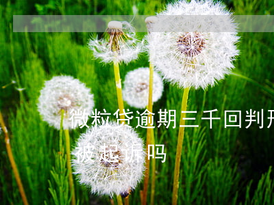 微粒贷逾期三千回判刑吗(微粒贷逾期几千会被起诉吗)