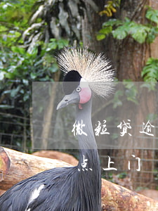 微粒贷逾期下午4点上门(微粒贷逾期下午4点上门)